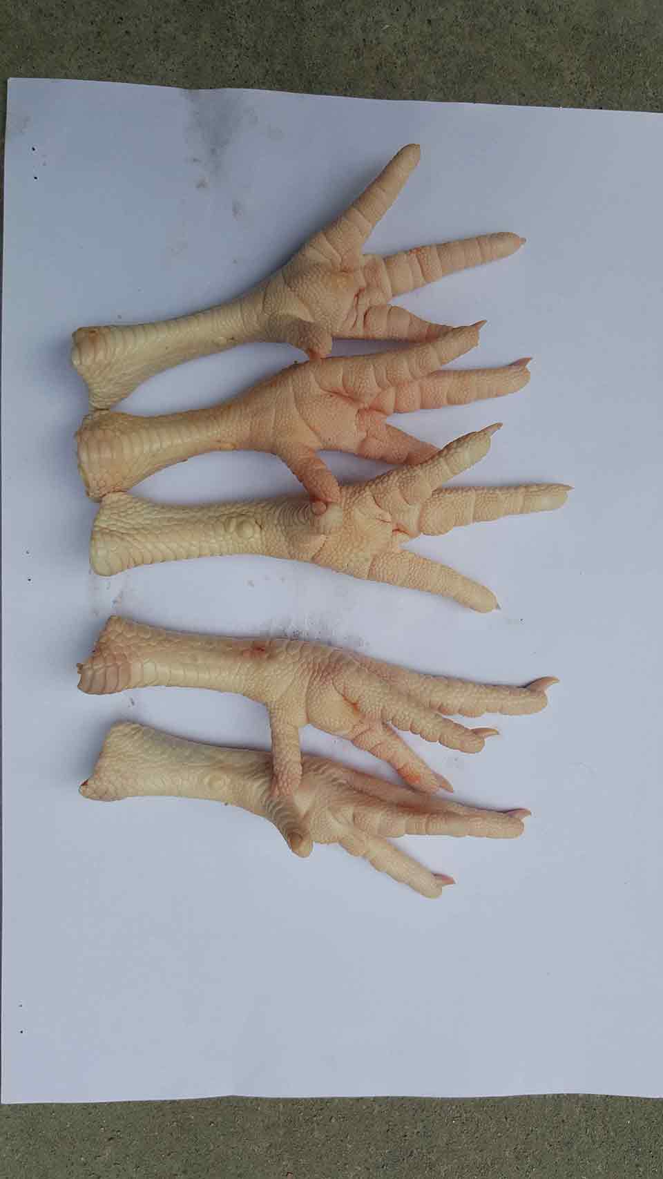 QQ图片20151027111648.jpg