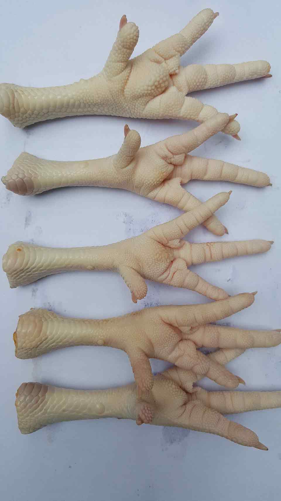 QQ图片20151027111645.jpg