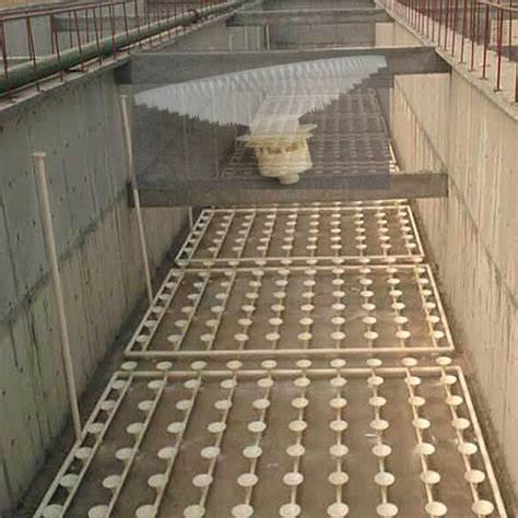 1716858710762420.jpg OIP-C.jpg